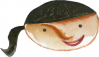 face 5